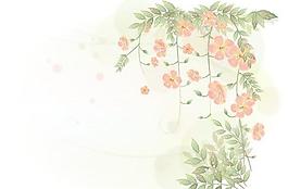 韓國植物裝飾邊框矢量圖02