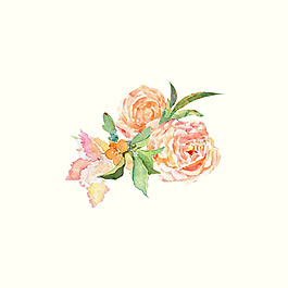 位圖 psd 植物 花朵 免費素材