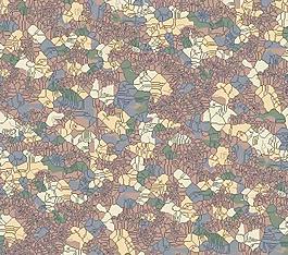 63590_地毯_紋邊