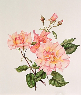 位圖 寫意花卉 植物 花朵 免費(fèi)素材