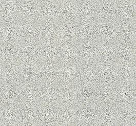 16180_地毯_細紋