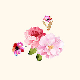 位圖 psd 植物 花朵 免費素材