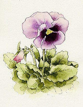 位圖 寫意花卉 植物 花朵 免費(fèi)素材