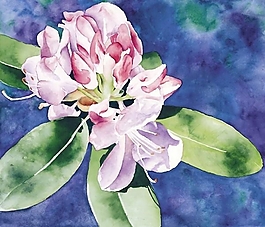 位圖 寫意花卉 植物 花朵 免費素材