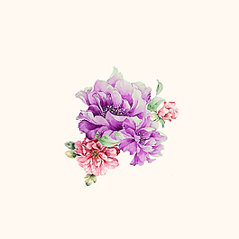 位圖 PSD 植物 花朵 免費(fèi)素材