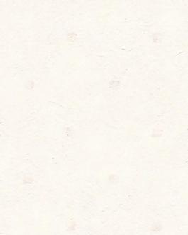 27243_壁紙_綜合