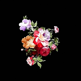 位圖 寫(xiě)意花卉 植物 花朵 免費(fèi)素材