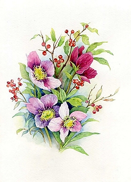 位圖 寫意花卉 植物 花朵 免費(fèi)素材