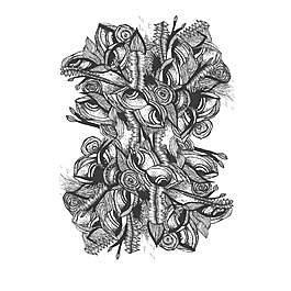 位圖 插畫師 Jaswant Flora 藝術(shù)效果 免費素材