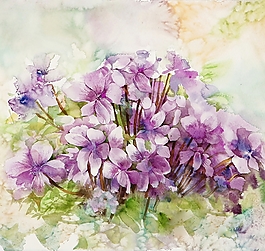 位圖 寫意花卉 植物 花朵 免費(fèi)素材