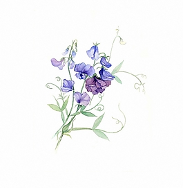 位圖 寫意花卉 植物 花朵 免費素材