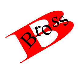 Bross logo設(shè)計(jì)欣賞 Bross樂隊(duì)LOGO下載標(biāo)志設(shè)計(jì)欣賞