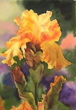 位圖 寫意花卉 植物 花朵 免費素材