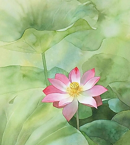 位圖 寫意花卉 植物 花朵 免費素材