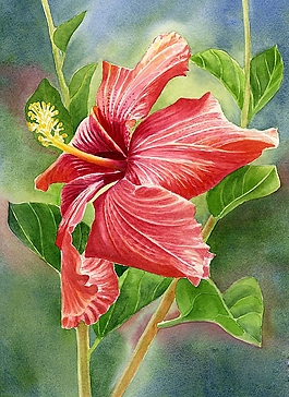 位圖 寫意花卉 植物 花朵 免費素材