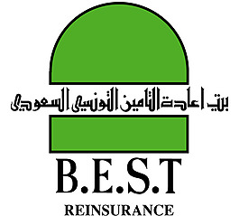 BEST_Reinsurance logo设计欣赏 BEST_Reinsurance保险公司标志下载标志设计欣赏