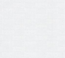 20481_壁纸_浅色