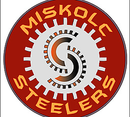 Miskolc_Steelers logo設(shè)計(jì)欣賞 Miskolc_Steelers化工業(yè)LOGO下載標(biāo)志設(shè)計(jì)欣賞