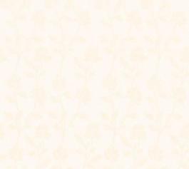 16941_壁紙_細(xì)紋