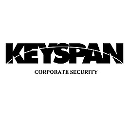 Keyspan logo設(shè)計欣賞 Keyspan重工LOGO下載標(biāo)志設(shè)計欣賞