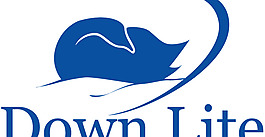 Down_Lite logo設(shè)計(jì)欣賞 Down_Lite工廠LOGO下載標(biāo)志設(shè)計(jì)欣賞