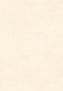 11972_壁紙_特色