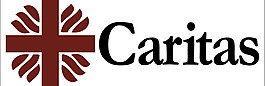 CARITAS(1) logo設(shè)計(jì)欣賞 CARITAS(1)醫(yī)院LOGO下載標(biāo)志設(shè)計(jì)欣賞