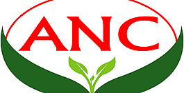 ANC logo設計欣賞 ANC醫(yī)院標志下載標志設計欣賞