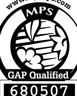 MPS_gap-qualified logo設(shè)計(jì)欣賞 MPS_gap-qualified食物品牌標(biāo)志下載標(biāo)志設(shè)計(jì)欣賞