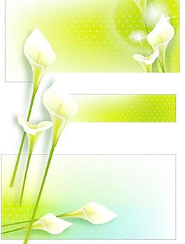 2008最新潮流花紋矢量圖001