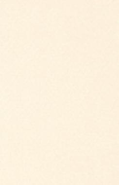 11720_壁紙_歐式中紋