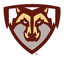 St__Bonaventure_Bonnies logo設(shè)計(jì)欣賞 St__Bonaventure_Bonnies大學(xué)體育隊(duì)標(biāo)志下載標(biāo)志設(shè)計(jì)欣賞