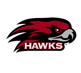 Saint_Joseph_s_Hawks(4) logo設計欣賞 Saint_Joseph_s_Hawks(4)高級中學LOGO下載標志設計欣賞