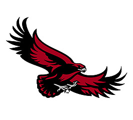 Saint_Joseph_s_Hawks(1) logo設計欣賞 Saint_Joseph_s_Hawks(1)高級中學LOGO下載標志設計欣賞