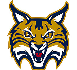 Quinnipiac_Bobcats logo設計欣賞 Quinnipiac_Bobcats高級中學標志下載標志設計欣賞