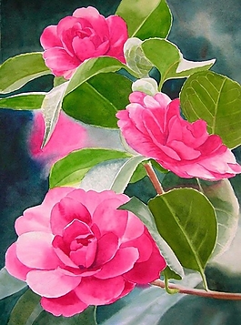 位圖 寫(xiě)意花卉 植物 花朵 免費(fèi)素材