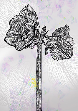 位圖 psd 植物 花朵 免費素材