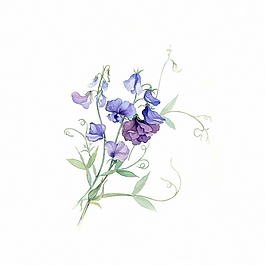 位圖 寫意花卉 植物 花朵 免費素材