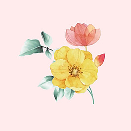 位圖 psd 植物 花朵 免費素材