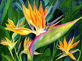 位圖 寫意花卉 植物 花朵 免費(fèi)素材