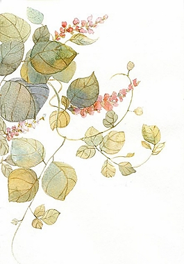位圖 寫(xiě)意花卉 植物 花朵 免費(fèi)素材
