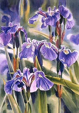 位圖 寫意花卉 植物 花朵 免費(fèi)素材