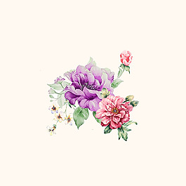 位圖 PSD 植物 花朵 免費(fèi)素材