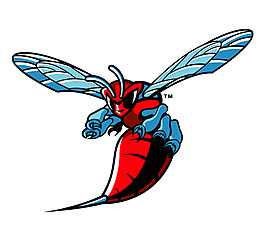 Delaware_State_Hornets(8) logo設(shè)計(jì)欣賞 Delaware_State_Hornets(8)教育機(jī)構(gòu)標(biāo)志下載標(biāo)志設(shè)計(jì)欣賞