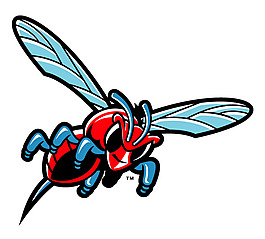 Delaware_State_Hornets(3) logo設(shè)計欣賞 Delaware_State_Hornets(3)教育機構(gòu)標(biāo)志下載標(biāo)志設(shè)計欣賞