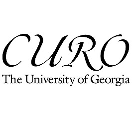 CURO logo設(shè)計(jì)欣賞 CURO教育機(jī)構(gòu)標(biāo)志下載標(biāo)志設(shè)計(jì)欣賞