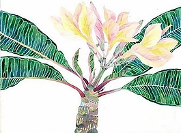 位圖 寫意花卉 植物 花朵 免費素材