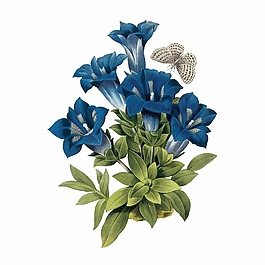 位圖 寫(xiě)意花卉 植物 花朵 免費(fèi)素材