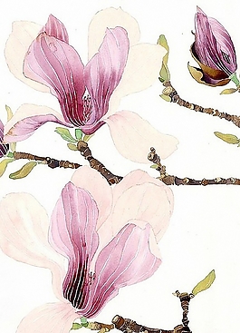 位圖 寫(xiě)意花卉 植物 花朵 免費(fèi)素材