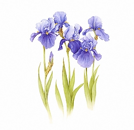 位圖 寫意花卉 植物 花朵 免費素材